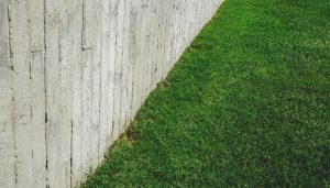 Signs of Termites in Yard Can Termites Live in Grass